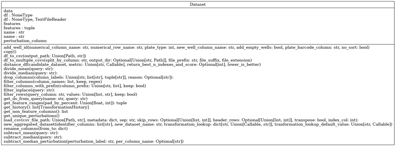 Snapshot of Dataset object.