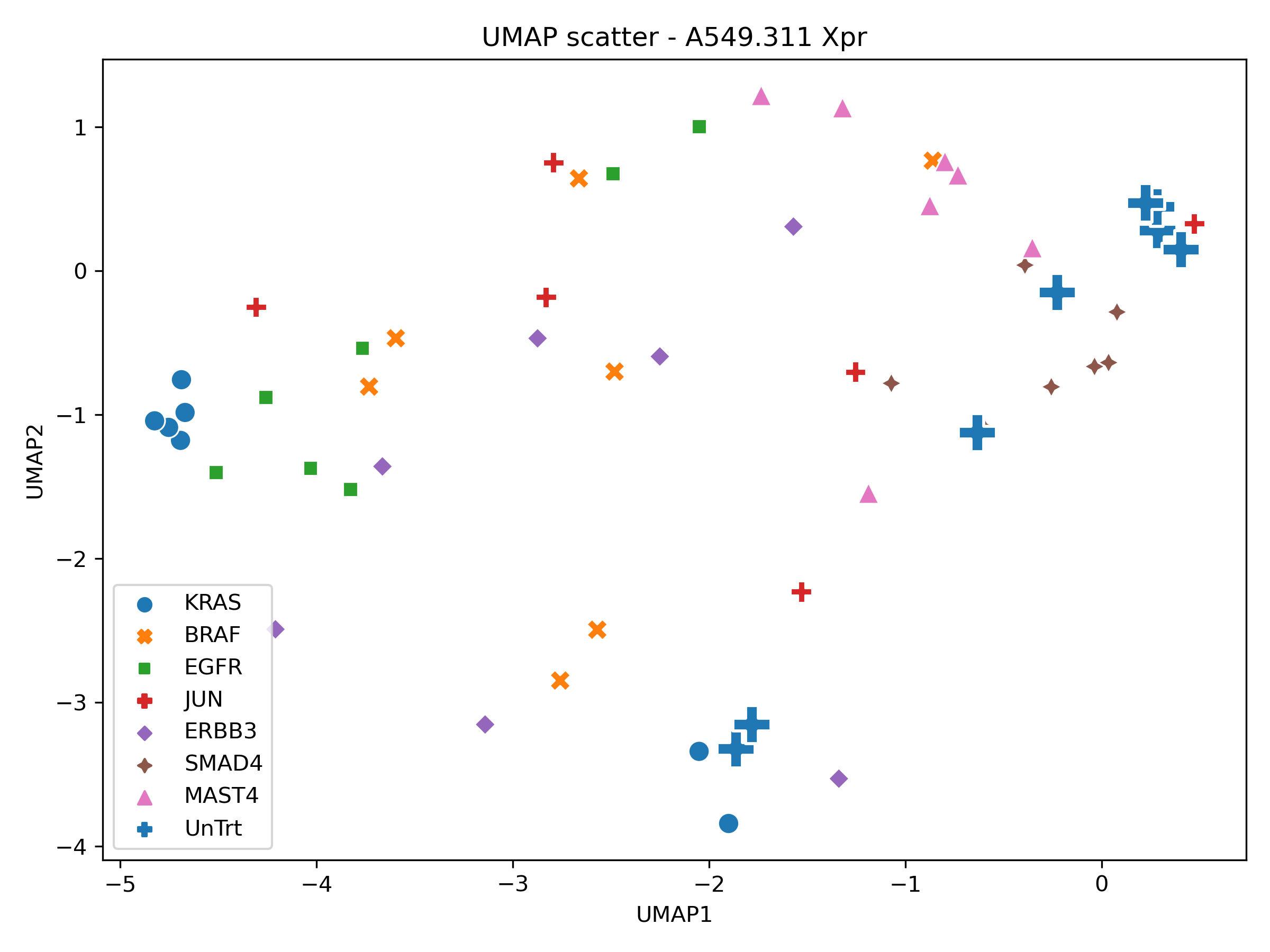 UMAP scatter of A549.311 cell line